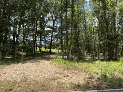 Tract X3d2 La Hwy 955, Ethel, LA 70730
