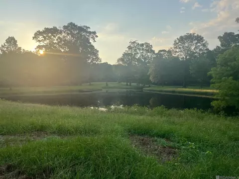 18355 Old Mill Settlement Rd, Port Vincent, LA 70726