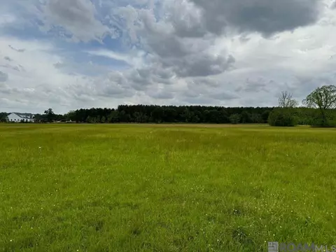 Blackwater Rd, Central, LA 70714 photo 2