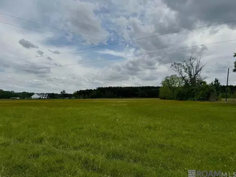 Blackwater Rd, Central, LA 70714 photo 3