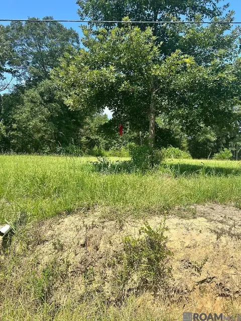 25085 Hall Rd, Greenwell Springs, LA 70739