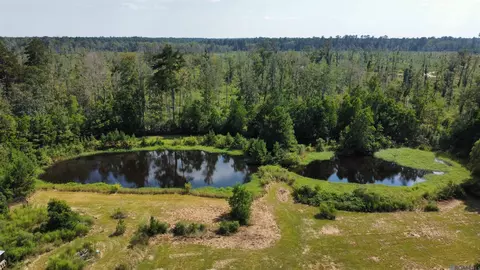 34180 Perkins Rd, Denham Springs, LA 70706