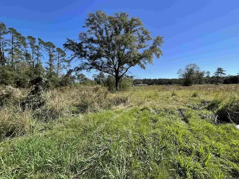 20272 Lynda Dr, Springfield, LA 70462