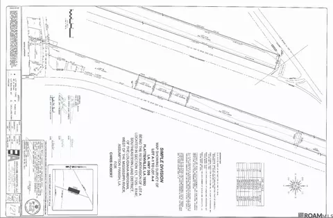 lot A-1 La Hwy 308, Belle Rose, LA 70341