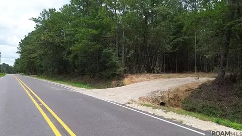 Tract D Isabel Swamp Road, Bush, LA 70431
