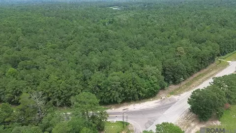 Tract E Isabel Swamp Road, Bush, LA 70431