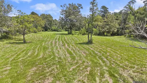 tbd S2 Walker North Rd, Walker, LA 70785 photo 5