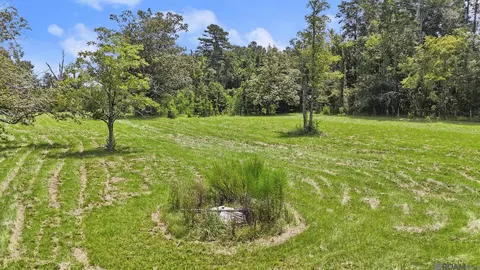 tbd S2 Walker North Rd, Walker, LA 70785 photo 6