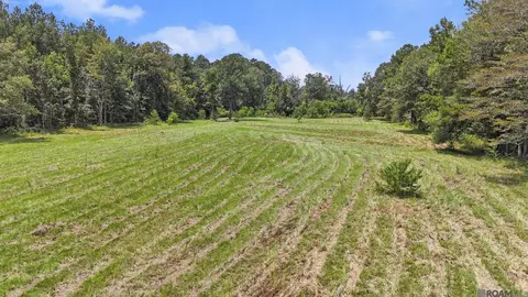 tbd S2 Walker North Rd, Walker, LA 70785 photo 9