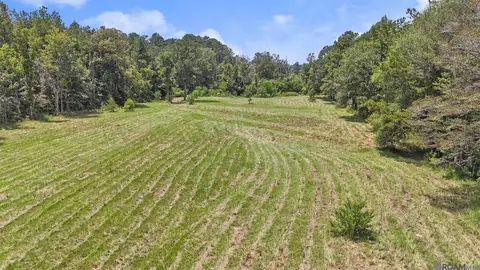 tbd S2 Walker North Rd, Walker, LA 70785 photo 2