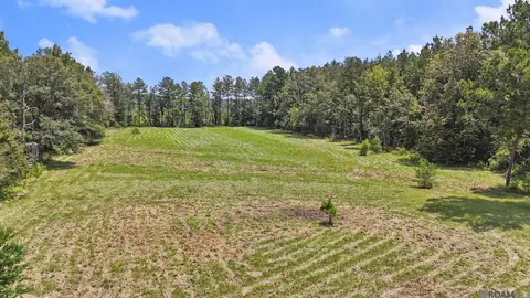 tbd S2 Walker North Rd, Walker, LA 70785 photo 4
