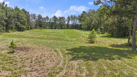 tbd S2 Walker North Rd, Walker, LA 70785 photo 7