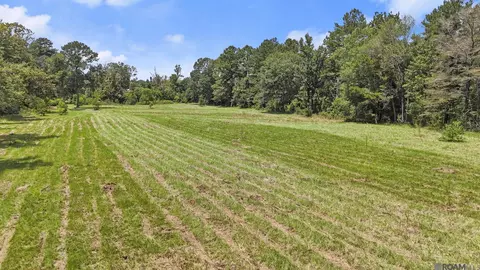 tbd S2 Walker North Rd, Walker, LA 70785 photo 8