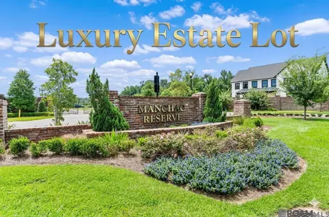 lot19 Manchac Reserve Dr, Baton Rouge, LA 70817