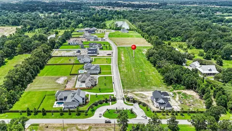 lot19 Manchac Reserve Dr, Baton Rouge, LA 70817