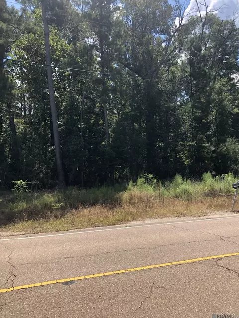 tbd La Hwy 447, Walker, LA 70785