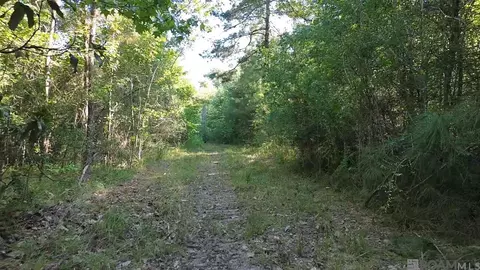 46310 Rufus Bankston Rd, Hammond, LA 70401