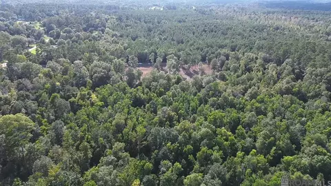 46294 Rufus Bankston Rd, Hammond, LA 70401
