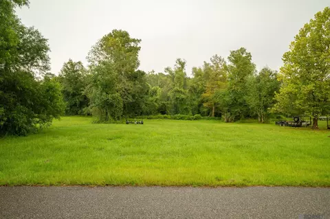 15844 Cypress Point Ln, French Settlement, LA 70733