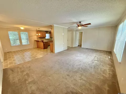 5171 Gentiles Ln, Jarreau, LA 70749 photo 4