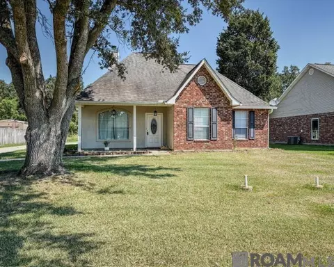 13361 David Lee Dr, Walker, LA 70785