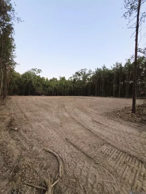 17261 Jack Allen Rd, Livingston, LA 70754