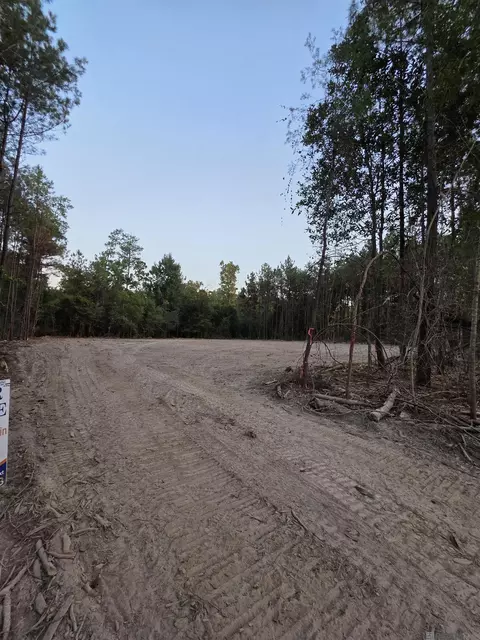 17267 Jack Allen Rd, Livingston, LA 70754
