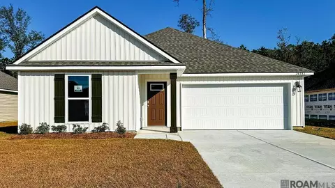 24783 Berry Ridge Ln, Springfield, LA 70462