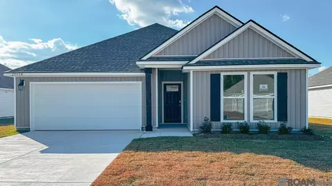 25034 Berry Ridge Ln, Springfield, LA 70462