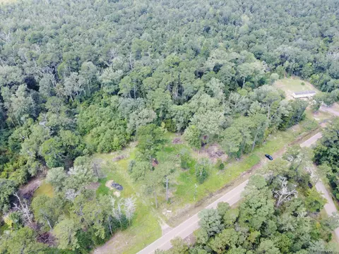 31519 La Hwy 1036, Holden, LA 70744