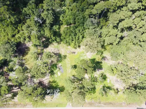 31495 La Hwy 1036, Holden, LA 70744