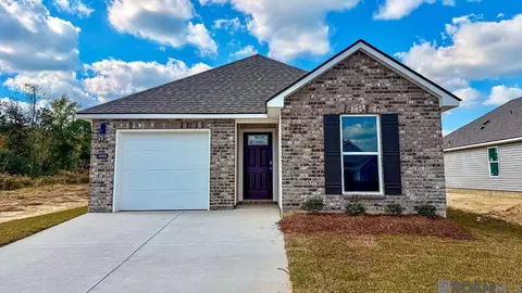 14253 Monmouth Ave, Denham Springs, LA 70726