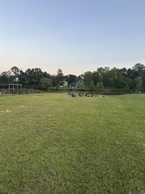 14069 Mill Settlement Trce, Denham Springs, LA 70726