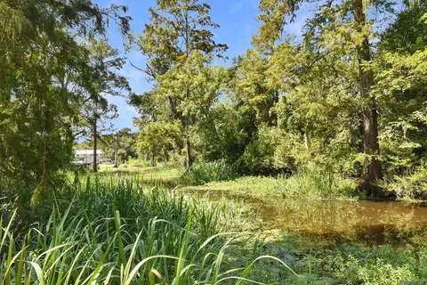 Other - 13167 Petite Dr, Maurepas, LA 70449 photo 5 of 5