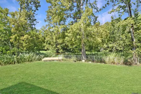 Exterior - 13167 Petite Dr, Maurepas, LA 70449 photo 3 of 9