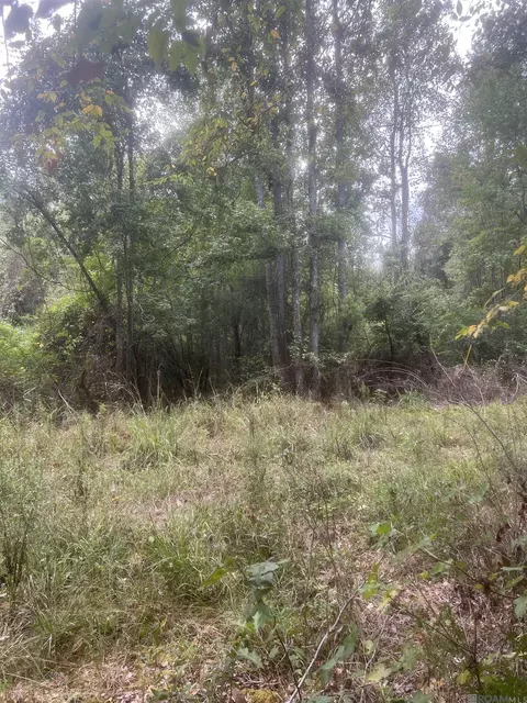 Tract 1 Battle Rd, Ethel, LA 70730