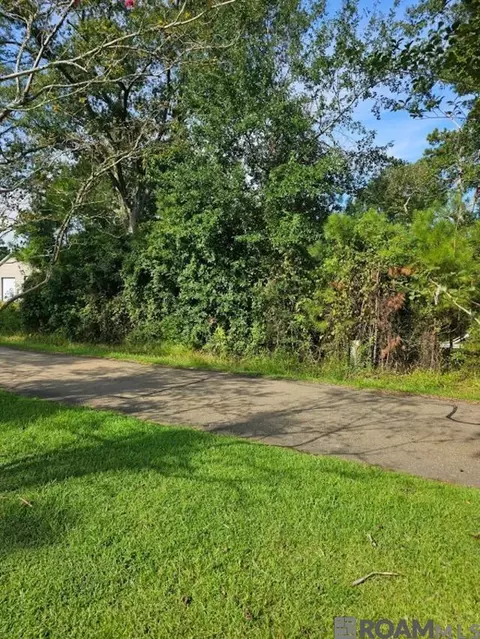 tbd Ratcliff Blvd, Springfield, LA 70462 photo 1