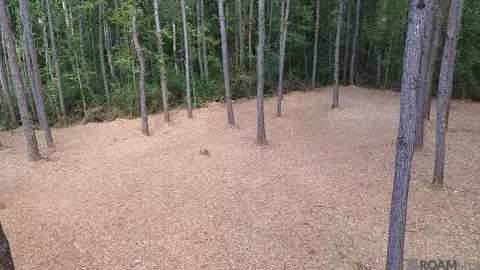 tbd S Evans Rd, Independence, LA 70401 photo 5