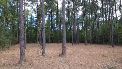 tbd S Evans Rd, Independence, LA 70401 photo 3