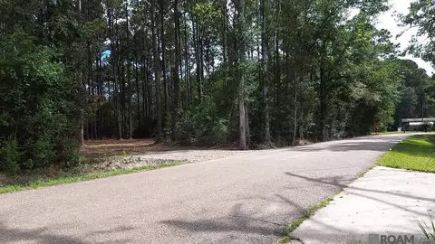 tbd S Evans Rd, Independence, LA 70401 photo 7