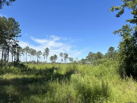 tbd Willie Redden Rd, Greensburg, LA 70441