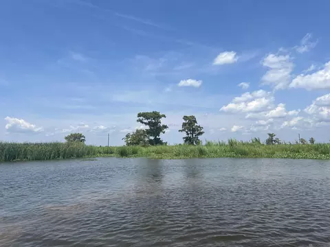 lot91 Jones Is, Akers, LA 70421