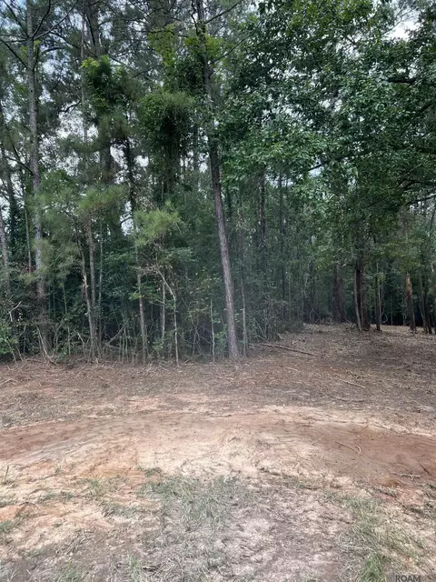 tbd Hwy 10, Clinton, LA 70722