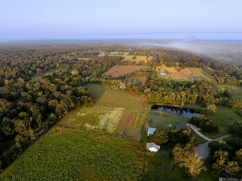 Barker Road, Covington, LA 70435