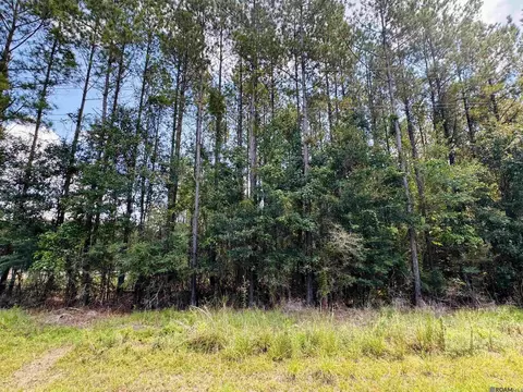 lot15 16 La Hwy 449, Pine Grove, LA 70453