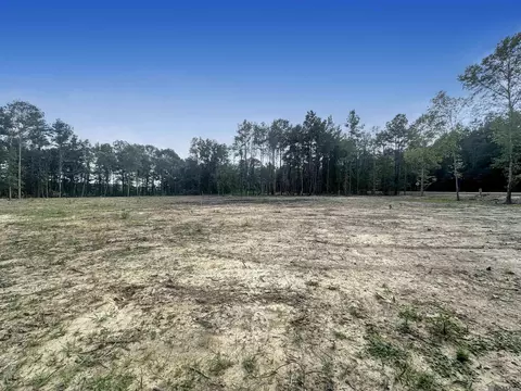 14342 Springfield Rd, Walker, LA 70785 photo 4