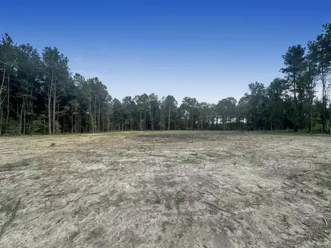 14342 Springfield Rd, Walker, LA 70785 photo 2