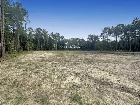 14342 Springfield Rd, Walker, LA 70785 photo 3