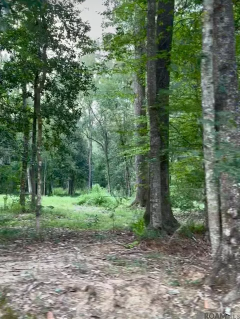 lot A-1-b Lemon Rd, Slaughter, LA 70777