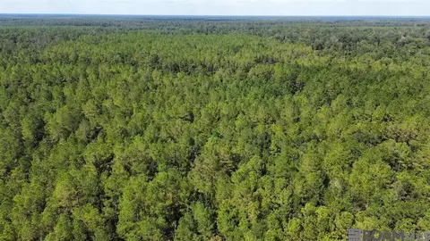 tbd Golden St, Killian, LA 70462